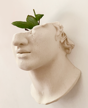 Cargar imagen en el visor de la galería, Busto Romano de pared - Planter