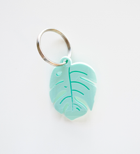 Cargar imagen en el visor de la galería, Monstera Deliciosa - Mint