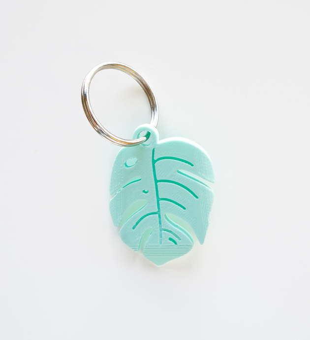 Monstera Deliciosa - Mint