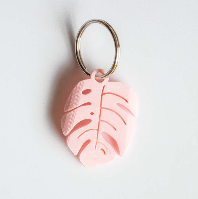 Monstera Deliciosa - Pink