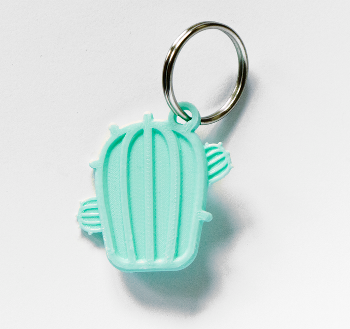 Round Cactus Keychain