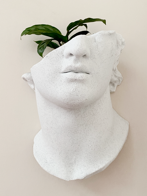 Busto Romano de pared - Planter