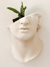 Cargar imagen en el visor de la galería, Busto Romano de pared - Planter